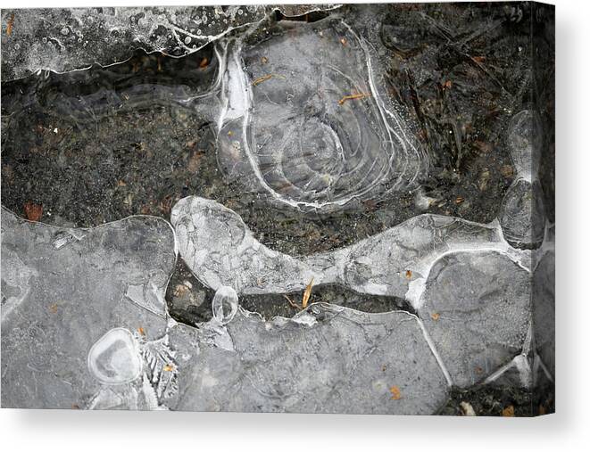 Mary Bedy Canvas Print featuring the photograph Winter Ice 3 by Mary Bedy