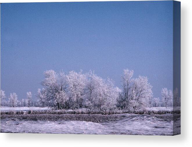 Frozen Trees Winter North Dakota Canvas Print featuring the photograph Winter Ice Tree by William Kimble