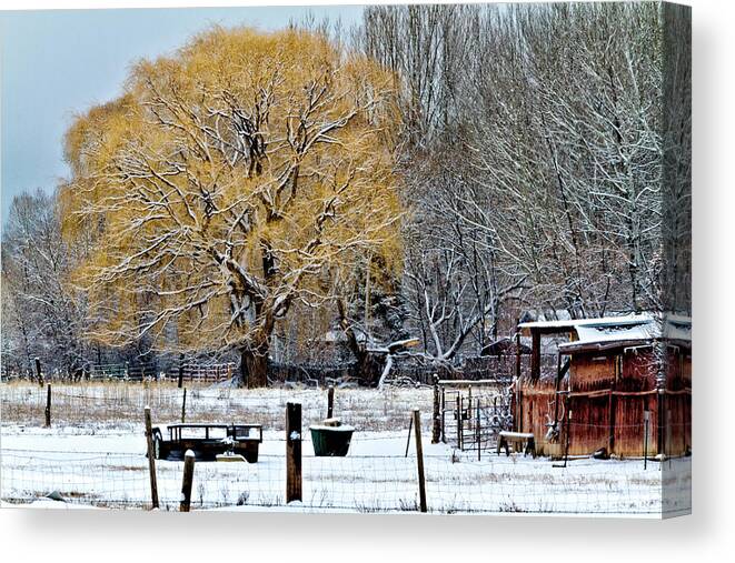 Taos Canvas Print featuring the photograph Winter in Taos by Robert Woodward
