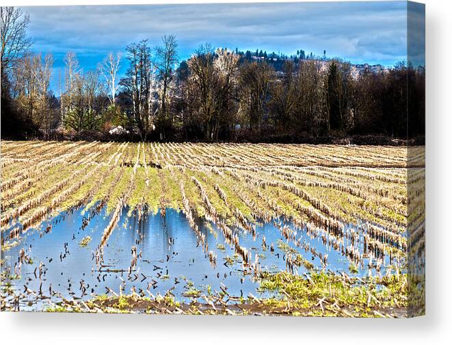 Art Canvas Print featuring the photograph Winter in Washington Fields by Clayton Bruster