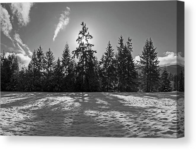 Winter Canvas Print featuring the photograph Winter Landscape - 365-317 by Inge Riis McDonald