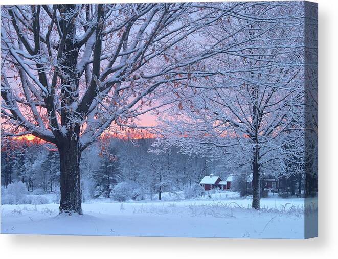 North Common Meadow Canvas Print featuring the photograph Winter Morning by John Burk