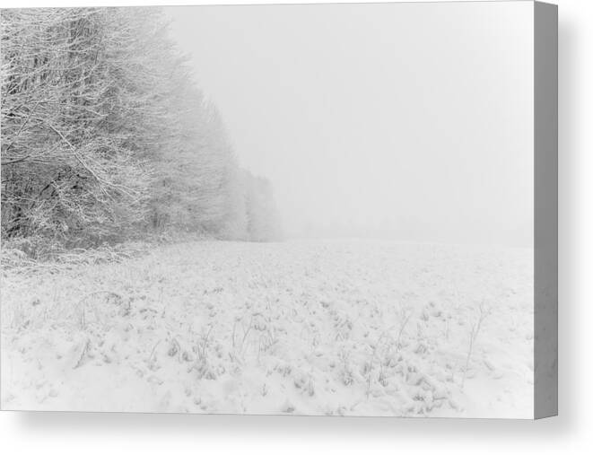 Landscape Canvas Print featuring the photograph Winter Obstruction by Chris Bordeleau