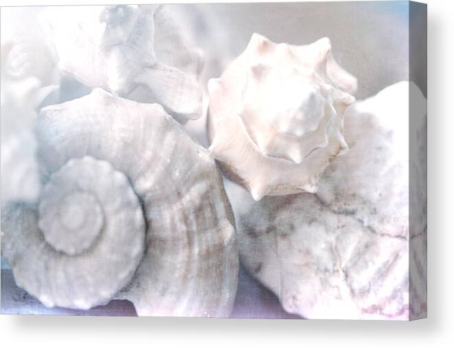 Winter Shells Canvas Print featuring the photograph Winter Shells by Bonnie Bruno
