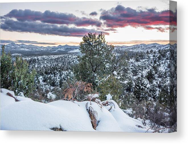 Sunset Canvas Print featuring the photograph Winter Skies by Aaron Burrows