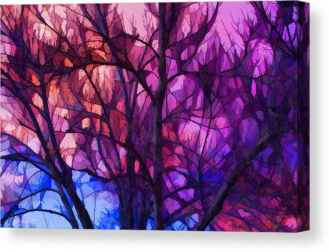 Sunset Canvas Print featuring the photograph Winter Sunset by Lorraine Baum