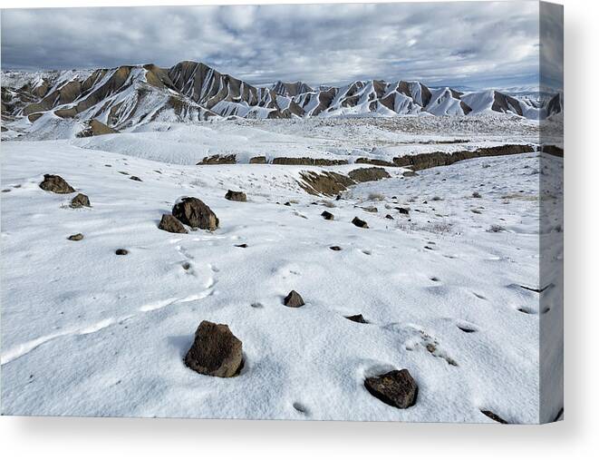 Colorado Canvas Print featuring the photograph Winter Tracks by Denise Bush