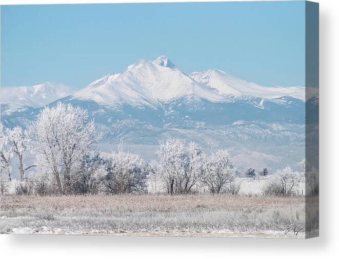 Winter Canvas Print featuring the photograph Winter Trees and Longs Peak by Aaron Spong