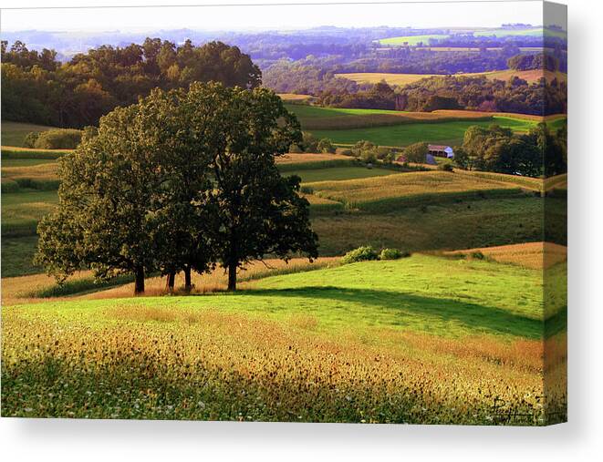 Wisconsin Driftless Prairie Trees Hills Farm Farmland Farming Dairy Landscape Scenic Horizontal Haze Summer Green Yellow Tan Canvas Print featuring the photograph Wisconsin Driftless Prairie by Peter Herman