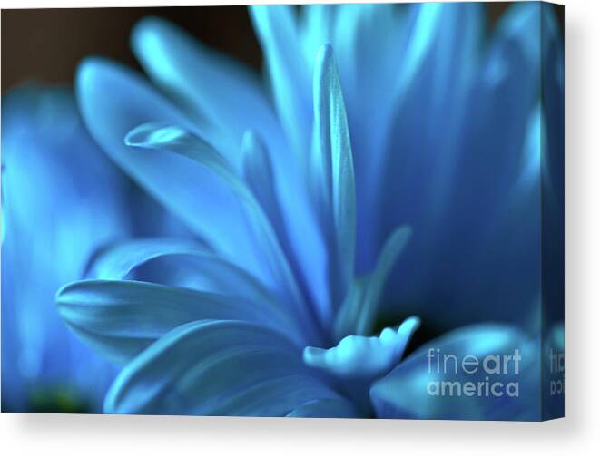 Nature Canvas Print featuring the photograph Wishful Thinking by Deb Halloran