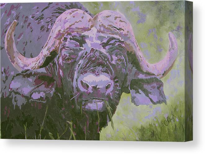 Cape Buffalo Canvas Print featuring the painting With Malice In Mind by Cheryl Bowman