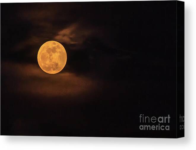 Wolf Canvas Print featuring the photograph Wolf Moon by Robert Bales