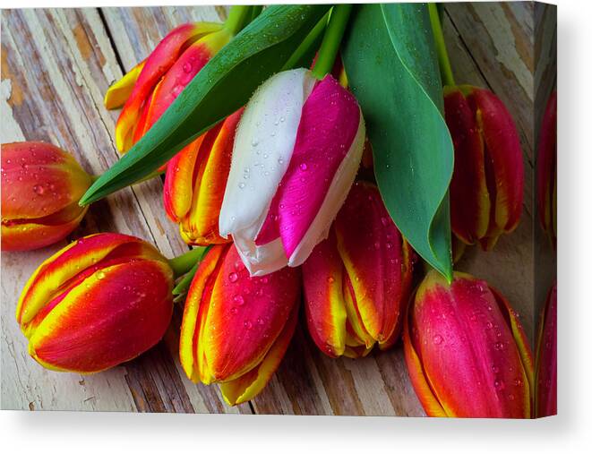 Bunch Canvas Print featuring the photograph Wonderful Colorful Tulips by Garry Gay