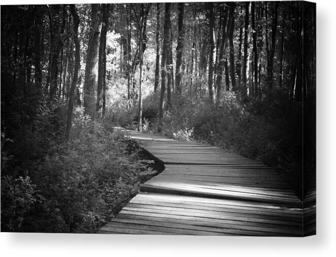 Black And White Canvas Print featuring the photograph Wooded Walk by Scott Wyatt