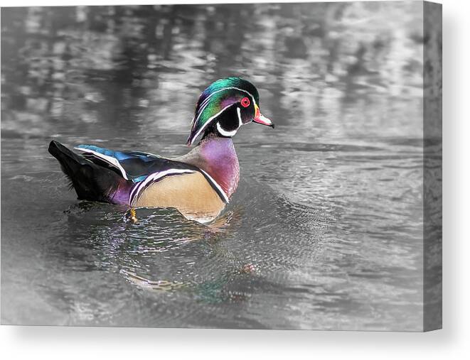 5dmkiv Canvas Print featuring the photograph Woodie by Mark Mille