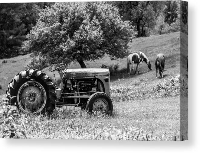 Tractor Canvas Print featuring the photograph Work Horses by Tim Kirchoff