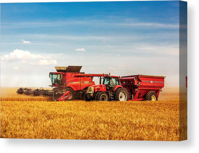 Wheat Canvas Print featuring the photograph Working Side-by-Side by Todd Klassy
