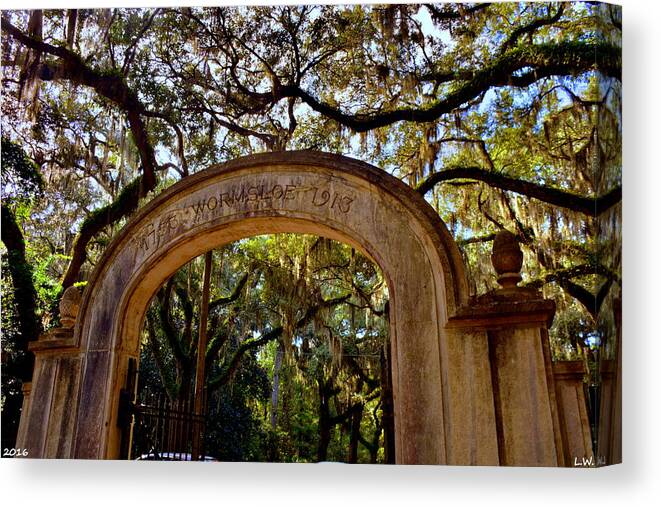 Wormsloe Historic Site Isle Of Hope Ga Canvas Print featuring the photograph Wormsloe Historic Site Isle Of Hope GA by Lisa Wooten