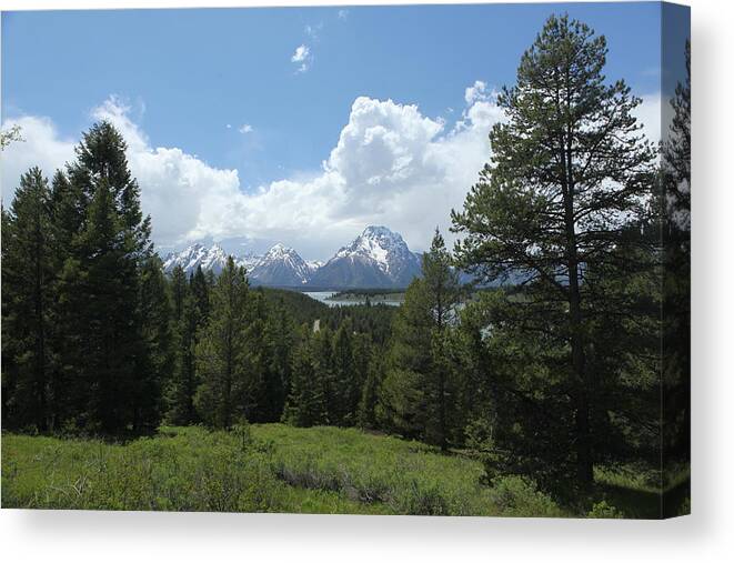 Landscape Canvas Print featuring the photograph Wyoming 6500 by Michael Fryd