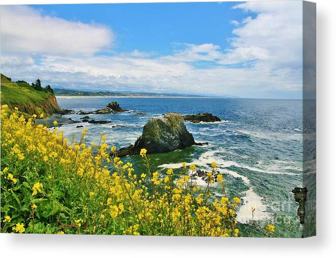 Seascape Canvas Print featuring the photograph Yaquina by Sheila Ping