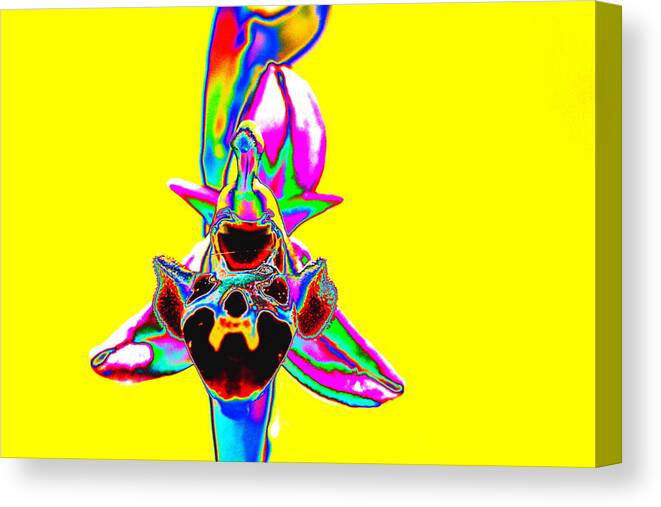 Flowers Canvas Print featuring the photograph Yellow Bee Orchid by Richard Patmore
