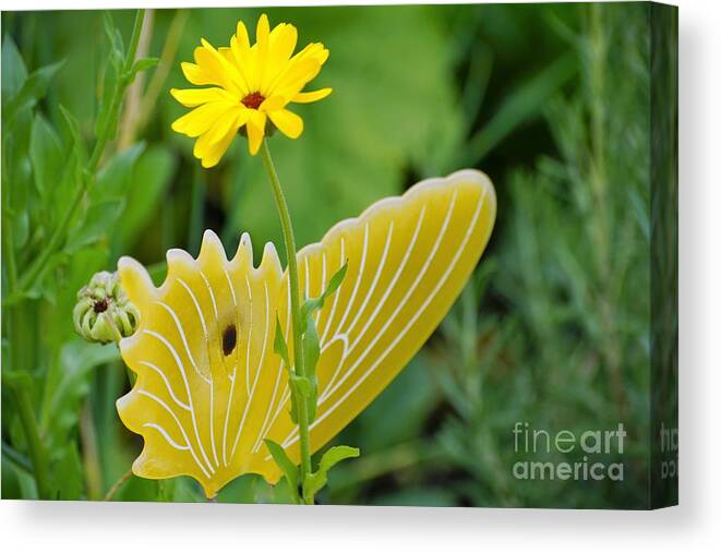 Butterfly Canvas Print featuring the photograph Yellow Butterfly by Merle Grenz