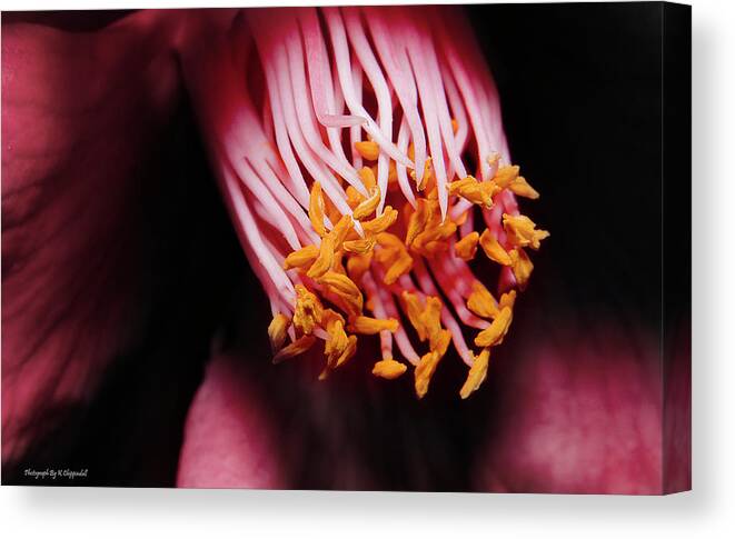 Pollen Canvas Print featuring the photograph Yellow pollen 01 by Kevin Chippindall