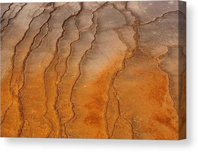 Texture Canvas Print featuring the photograph Yellowstone 2530 by Michael Fryd