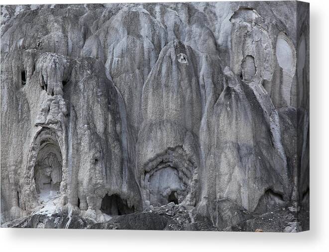 Texture Canvas Print featuring the photograph Yellowstone 3683 by Michael Fryd