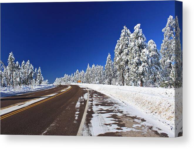 Snow Canvas Print featuring the photograph Yes its Arizona by Gary Kaylor