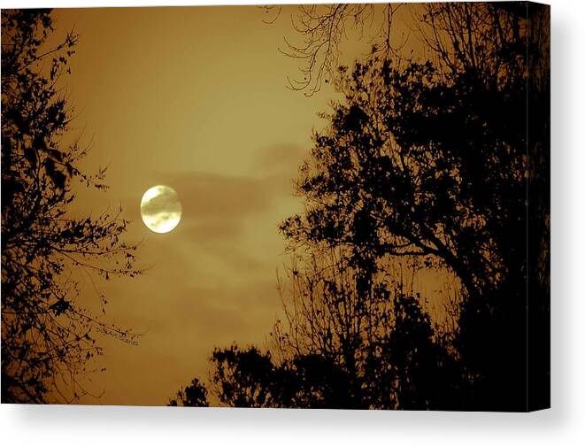 Moon Canvas Print featuring the photograph Yesteryears Moon by DigiArt Diaries by Vicky B Fuller