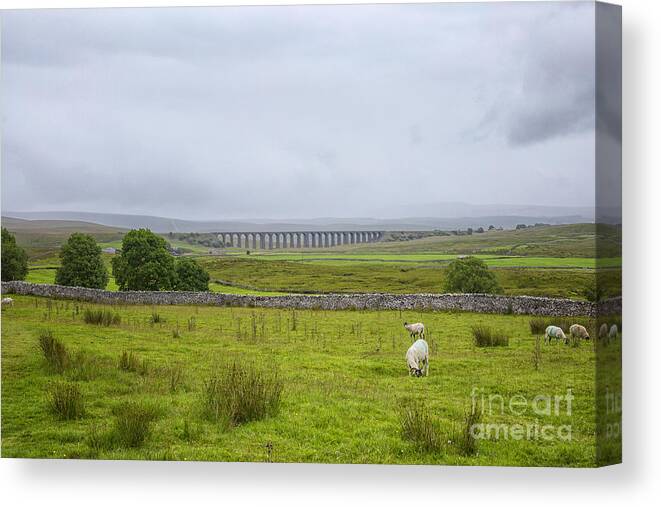 Ribblehead Canvas Print featuring the photograph Yorkshire Dales with the Ribblehead viaduct by Patricia Hofmeester