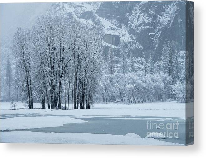 Landscapes Canvas Print featuring the photograph Yosemite - A Winter Wonderland by Sandra Bronstein