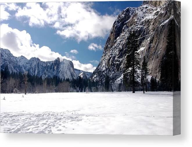 Yosemite Canvas Print featuring the photograph Yosemite meadow in winter by Michael Courtney