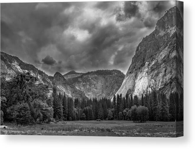 Black And White Canvas Print featuring the photograph Yosemite Meadows by Christopher Perez