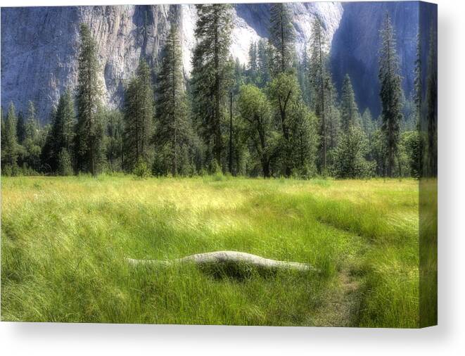Landscape Canvas Print featuring the photograph Yosemite Valley by Michael Cleere