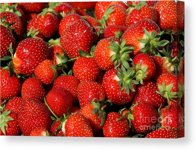 Fruit Canvas Print featuring the photograph Yummy Fresh Strawberries by Teresa Zieba