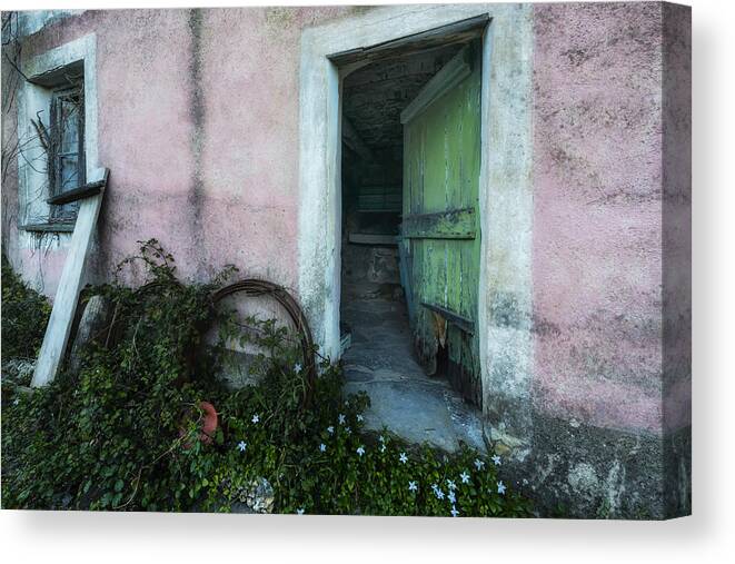 Zoagli Canvas Print featuring the photograph Zoagli Old Abandoned Door With Flowers by Enrico Pelos