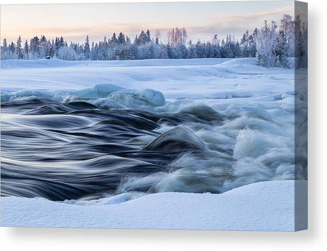 Winter Canvas Print featuring the photograph by Burkhard Achtergarde