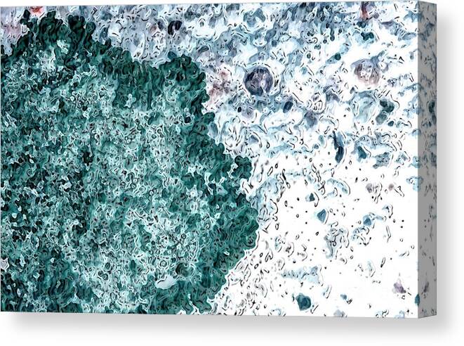 Cells Canvas Print featuring the photograph Biofilm #1 by Giroscience/science Photo Library