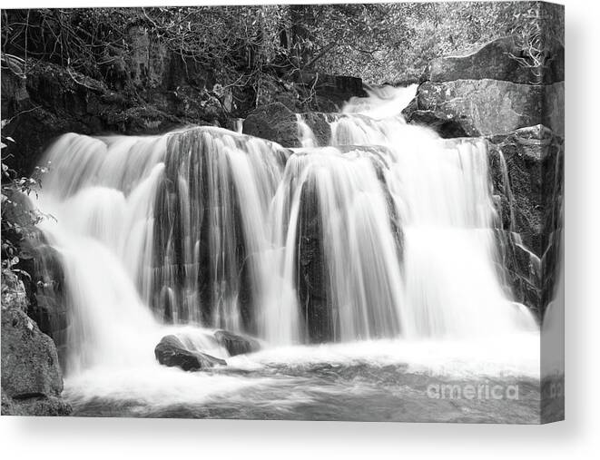 Smoky Mountains Canvas Print featuring the photograph Black And White Waterfall #2 by Phil Perkins