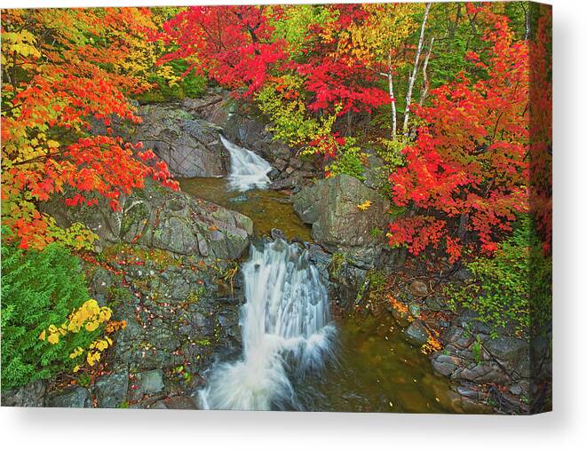 Autumn Canvas Print featuring the photograph Canada, Nova Scotia, Cape Breton Island #1 by Jaynes Gallery