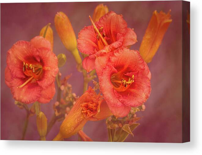 Flower Canvas Print featuring the photograph Colors of Summer #1 by Allin Sorenson