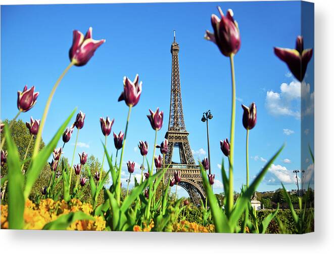 Scenics Canvas Print featuring the photograph Eiffel Tower In Paris, France #1 by Nikada
