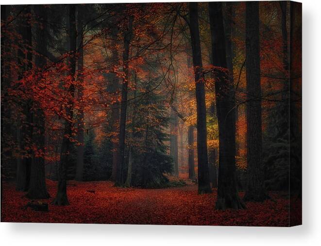 Forest Canvas Print featuring the photograph Frozen In Autumn #1 by Saskia Dingemans