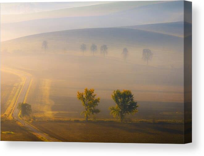 Fog Canvas Print featuring the photograph In The Fog #1 by Piotr Krol (bax)