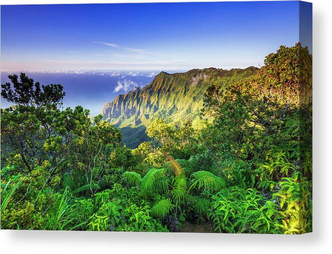 Abundance Canvas Print featuring the photograph Kalalau Valley And The Na Pali Coast #1 by Russ Bishop