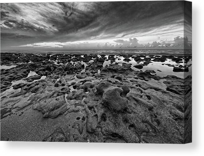 Coral Cove Canvas Print featuring the photograph Low Tide #1 by Steve DaPonte