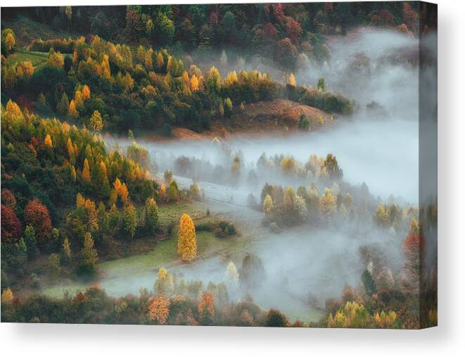 Mist Canvas Print featuring the photograph Morning Mist #1 by Haim Rosenfeld