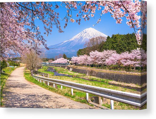 Landscape Canvas Print featuring the photograph Mt. Fuji Viewed From Rural Shizuoka #1 by Sean Pavone